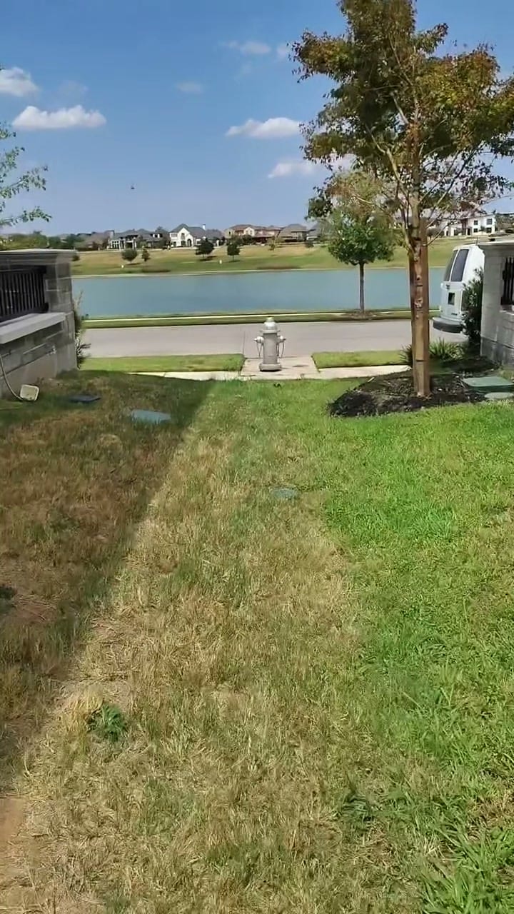 Back patio and lawn down to a lake after a Curb Appeal visit